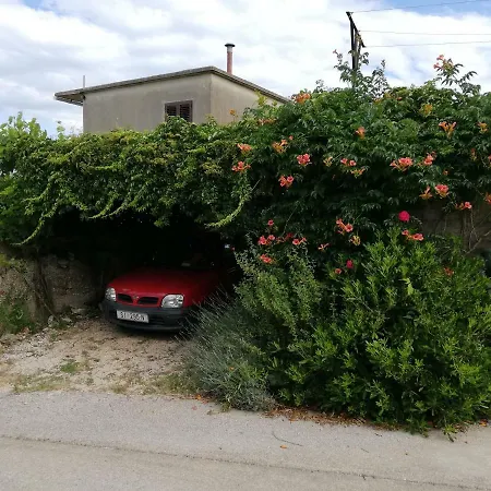 Ruzmarin * Primošten